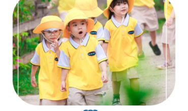 ÁO THUN ĐỒNG PHỤC – DẤU ẤN TINH THẦN TRONG MÔI TRƯỜNG GIÁO DỤC